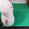 Brinquedo de Pelúcia Build A Bear Snow Cute Girl Snowman Plush  2019 - ORIGINAL - USADO - Imagem 13