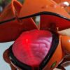 BEN 10 ARTRÓPODE BRAIN STORM 13cm 135 GRAMAS - USADO (UK) PREÇO DO FRETE NA DESCRIÇÃO - Imagem 6