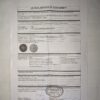 Lamborghini Bola de Football Automobili - Item de Colecionador - Nº20770416AA - GRAMAS - NOVO - (UK) PREÇO DO FRETE NA DESCRIÇÃO - Imagem 16